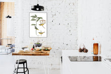 Load image into Gallery viewer, Hooded Warbler Print by John Audubon