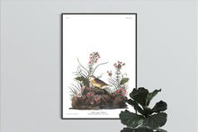 Load image into Gallery viewer, Yellow-Winged Sparrow Print by John Audubon