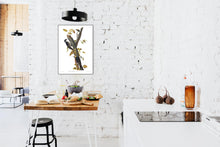 Load image into Gallery viewer, Three-Toed Woodpecker Print by John Audubon