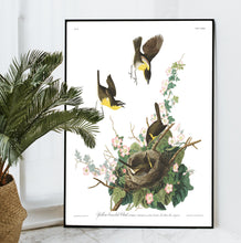 Load image into Gallery viewer, Yellow-Breasted Chat Print by John Audubon