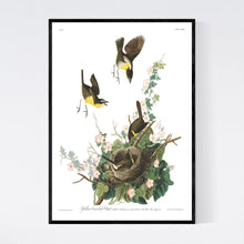 Load image into Gallery viewer, Yellow-Breasted Chat Print by John Audubon