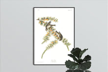 Load image into Gallery viewer, Pine Finch Print by John Audubon