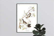 Load image into Gallery viewer, Canadian Titmouse Print by John Audubon