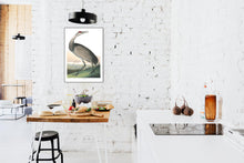 Load image into Gallery viewer, Hooping Crane Print by John Audubon