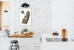 Red Headed Woodpecker Print by John Audubon