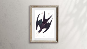 Frigate Pelican Print by John Audubon