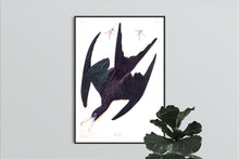 Load image into Gallery viewer, Frigate Pelican Print by John Audubon