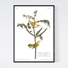 Load image into Gallery viewer, Children&#39;s Warbler Print by John Audubon