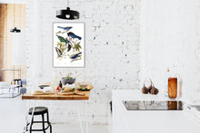 Load image into Gallery viewer, Yellow Billed Magpie Stellers Jay Ultramarine Jay and Clark&#39;s Crow Print by John Audubon