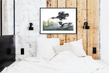 Load image into Gallery viewer, Red-Breasted Merganser Print by John Audubon