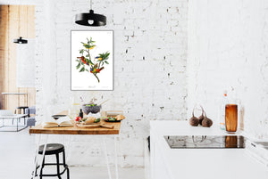 Painted Finch Print by John Audubon