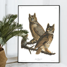 Load image into Gallery viewer, Great Horned Owl Print by John Audubon