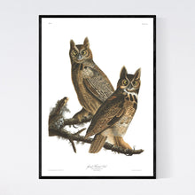 Load image into Gallery viewer, Great Horned Owl Print by John Audubon