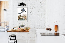 Load image into Gallery viewer, Belted Kingfisher Print by John Audubon