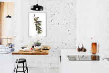 Load image into Gallery viewer, Yellow Throated Warbler Print by John Audubon