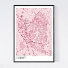 Load image into Gallery viewer, Stevenage City Map Print