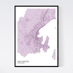 Wellington City Map Print